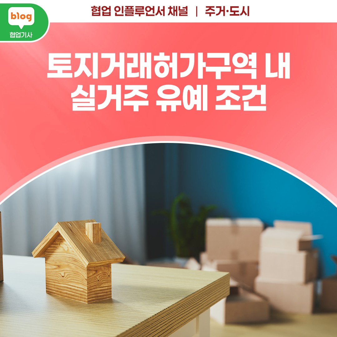 토지거래허가구역 내 실거주 유예 조건